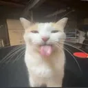 yu.kkiii