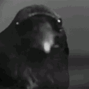 thetinygrimreaper