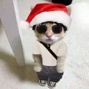 thiagogalvan8033 avatar