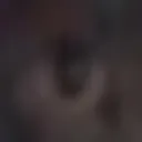 anyel