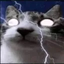 pollitoconpapa0196_81405 avatar