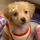 avatar Drugs - prob afk for 6months