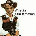 qturtless