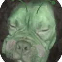 bearzyofbears avatar