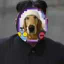 wojtexx_1