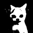 nelix_srv