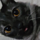 hypinosis_76101's Avatar