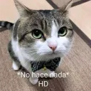 cesaeraaa
