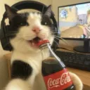 alexcusemoii