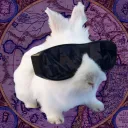 bnuywizard