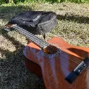 pipito124638 avatar