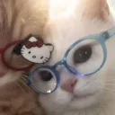 absorbinggg