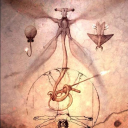 Speculative Evolution Shapes Inc