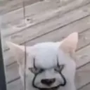 davidoenene_69270 avatar