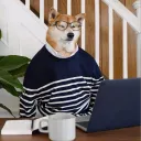 yosodog