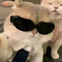 ozzz0513_92889 avatar