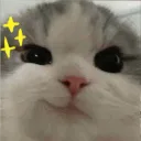 ozzz0513_92889 avatar