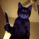 ozzz0513_92889 avatar