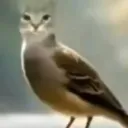 elgranamigo423 avatar