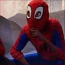 bralw0260_92048 avatar