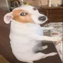 papa.reborn