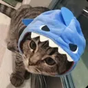 p0t4t0_12
