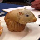 muffin_10 avatar