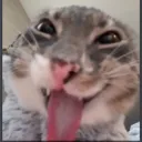 hfsdjiogfyusdkfyu