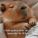 calvincalvon333 avatar