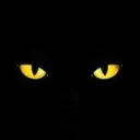 archilles_aviles avatar