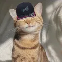 k0w4l_.