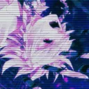 veil_of_abyss
