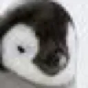 tux37