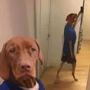 peoplelovefood avatar