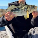 taylorhaberstroh