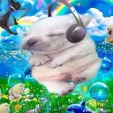 iggikier_58422 avatar