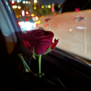 avatar 𝙃𝙖𝙡𝙞𝙮𝙖𝙩🖤