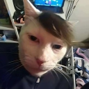 avatar enoxxxi [Handy]