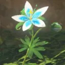 dew.dr0p