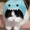 whuhluhskibidi