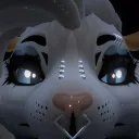yaknow14