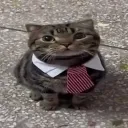 wolfixq