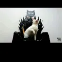 zamuek._43132 avatar