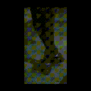 aimtp1