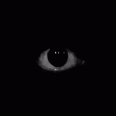 decryptious_