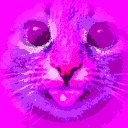 microk