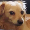 coneyyy_vr