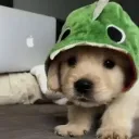 mysteryaltfrfr