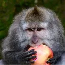 Аватар mmymyymym_59586