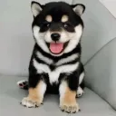 yybest28